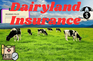 Dairyland Insurance — Insurance Solutions guide