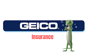 GEICO Insurance — Insurance Solutions guide