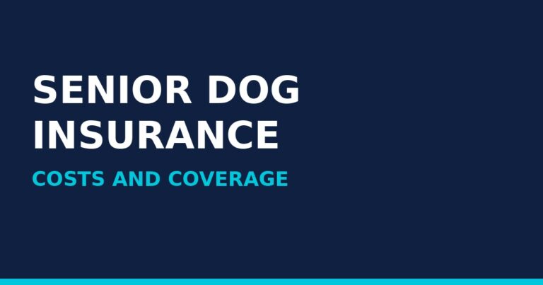 Pet Insurance for Senior Dogs: Costs, Coverage, and Whether It Still Pays